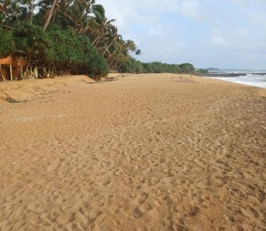 Beruwela House | Roy villa Landside hotel