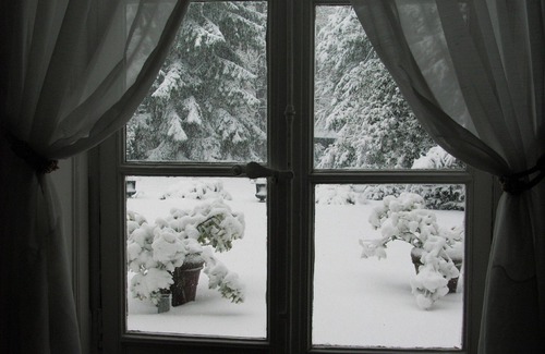 Notre-Dame Apartment | Royal apart/2 bedrooms on garden/quiet/central/palace 7 mn/2 pers max