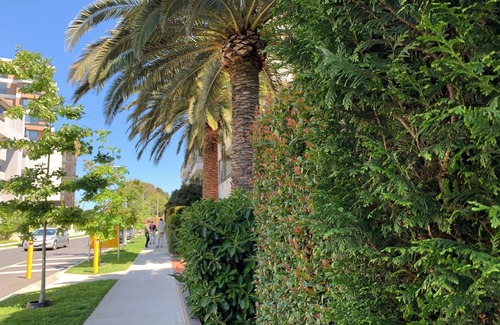 Caulfield North Apartment | Royal Executive Living Garden Executive