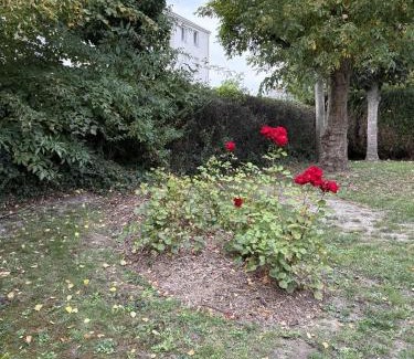 Armentieres Apartment | Rozenhof - Appartement au coeur d'Armentieres