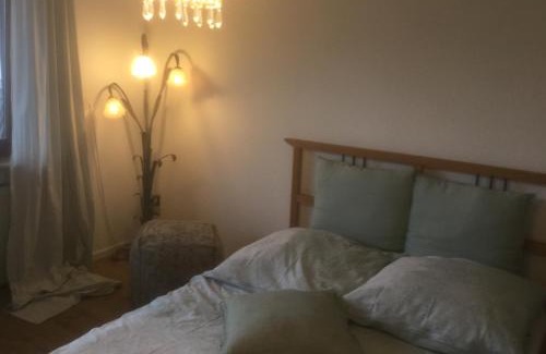 Neuwied Apartment | Ruhige Ferienwohnung Beletage