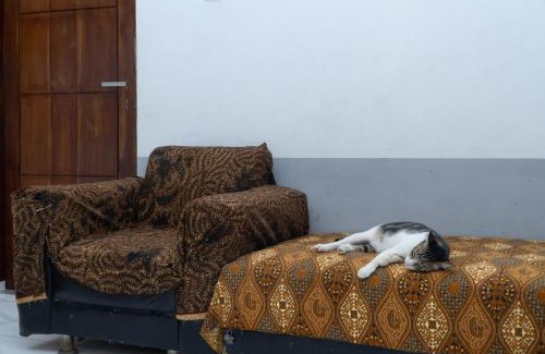 Pujut Bed & Breakfast | Rumah Nusantara