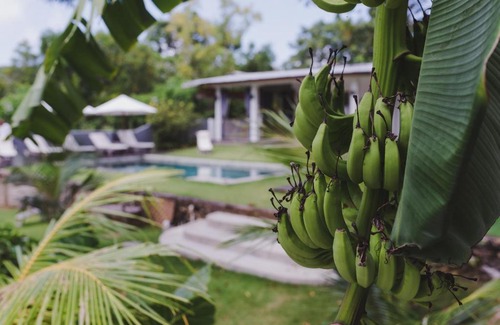 Uluwatu House | RUMAH WAYAN ULUWATU