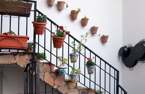 Puebla de Don Rodrigo House | Rural house Tía Nicolasa