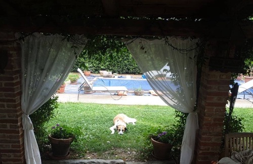 Foiano della Chiana Cottage | Rural house in the heart of TUSCANY