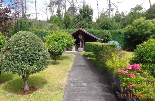 Santo da Serra Cottage | Rural Tourism House - Quinta do Lagar - Free Wifi
