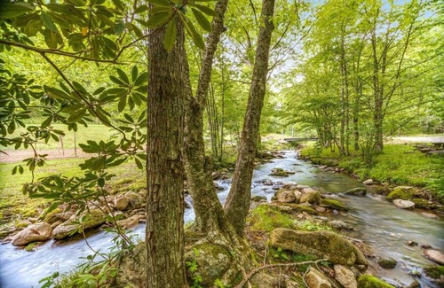 Sylva Cabin | Rustic 2BR Cabin, Mountain Views & Fishing