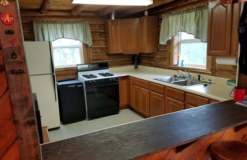 Grayling Cabin | Rustic 4 bedroom cottage in the woods