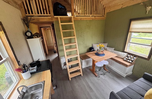 Willsboro Cabin | Rustic ADK tiny cabin off grid with electric option