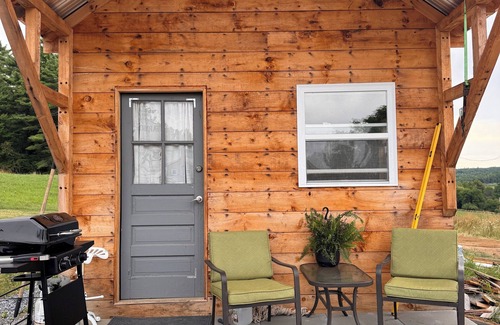 Willsboro Cabin | Rustic ADK tiny cabin off grid with electric option