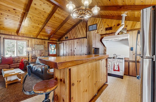Fawnskin Cabin | Rustic and Cozy Cabin with Fireplace & Private BBQ - Walk to Big Bear Lake