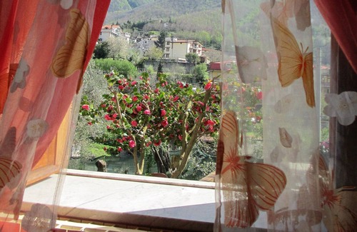 Piazza-Tralia-Pendolo House | Rustic apartment on the ground floor with citrus garden