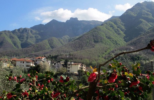 Piazza-Tralia-Pendolo House | Rustic apartment on the ground floor with citrus garden