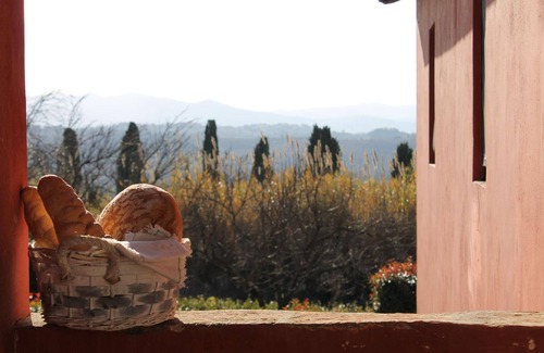 Ghizzano Apartment | Rustic apartment with swimming pool on the Tuscan hills