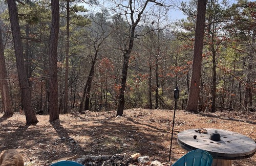Eureka Springs Cabin | Rustic Boondock - Peaceful tiny home on 143 acres!