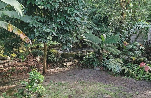 Penas Blancas Cabin | Rustic cabin in La Fortuna/(Breakfast included)
