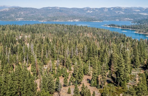 West Village Cabin | Rustic cabin with wood fireplace & gorgeous views - close to Shaver Lake
