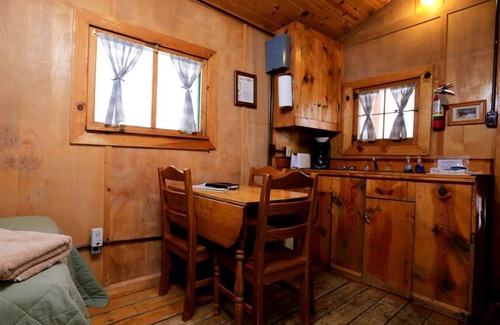 Clark Cabin | Rustic Camping Cabin with Lovely Nature Views in Columbine, Colorado
