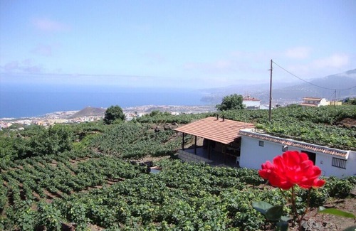 Los Realejos Cottage | Rustic Casita In The Orotava Valley Surrounded By Vineyards With HotTub and Wifi