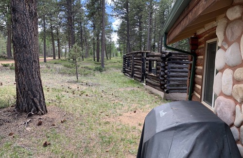 Divide Cabin | Rustic Colorado Cabin