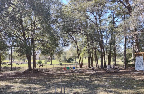Lake City RV Rental | Rustic Country Camp Site for your tents