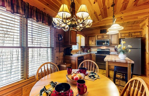Blue Ridge Cabin | Rustic dog-friendly cabin with deck, fireplace, grill, forest views, & streaming