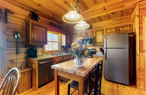 Blue Ridge Cabin | Rustic dog-friendly cabin with deck, fireplace, grill, forest views, & streaming