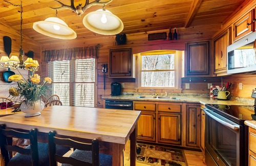 Blue Ridge Cabin | Rustic dog-friendly cabin with deck, fireplace, grill, forest views, & streaming