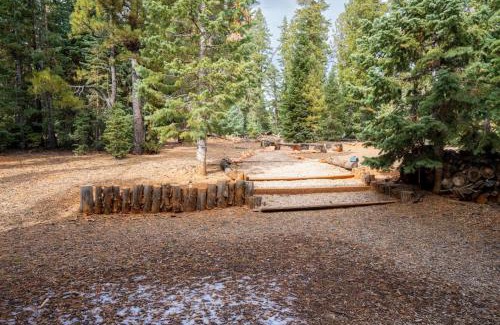 Meadow View Heights House | Rustic Forest Retreat