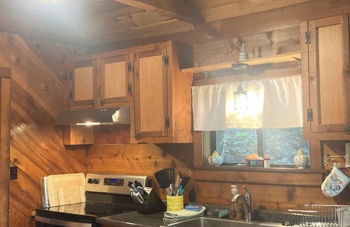 Wolf Laurel Cabin | Rustic Gerbera - 4,200 ft altitudenRent 4 nights or more & get 5th night free!1