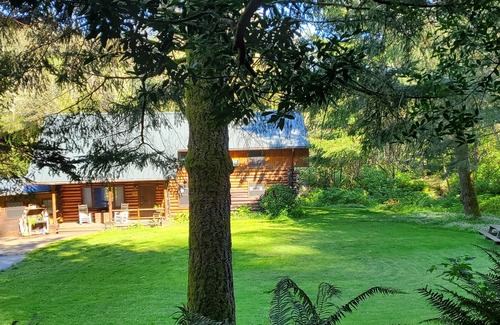 Brookings Cabin | Rustic Lodge - Tree House Cabin in the Mountains of Brookings