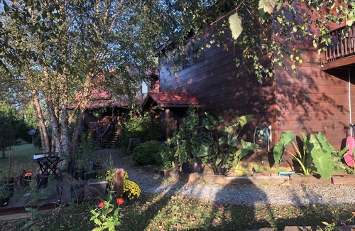 Dial Apartment | Rustic Loft in North Georgia Mountains