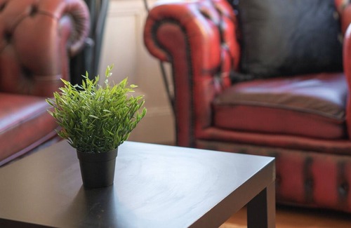 Belfast House | Rustic & Loving Home, 1 Mile to City Centre! A 50m Walk For Your Morning Coffee