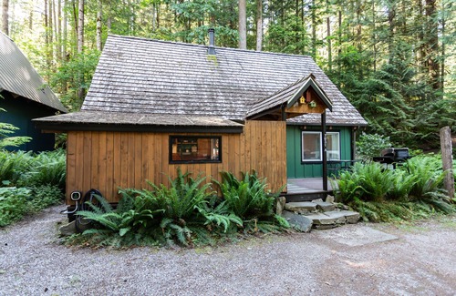 Glacier House | Rustic Mountain Hideaway ~Hot Tub, EV charger, wood stove, Pets welcome !