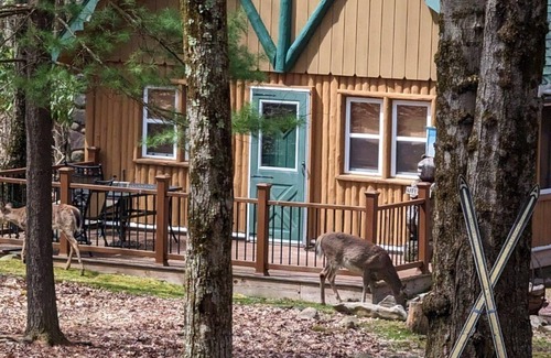 Lake Harmony Estates Cabin | Rustic Pocono Mountain Chalet