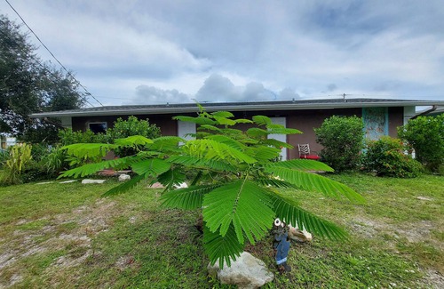 Tropic Apartment | Rustic private apt. "zen" @ Eau Gallie Downtown & 5 minutes Melbourne Beach