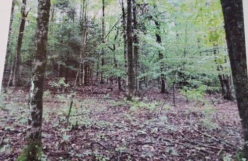 Cherry Valley RV Rental | Rustic Secluded Peaceful Getaway in Cherry Valley