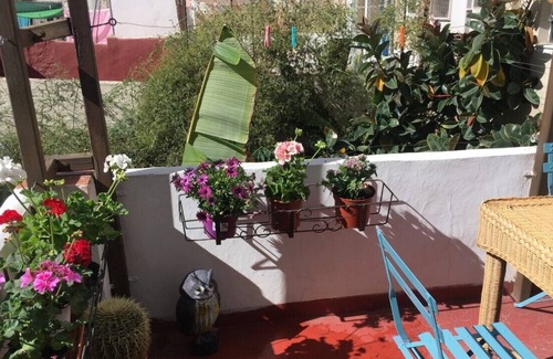 Arrancapins House | RUZAFA CENTER II APARTMENT. WIFI. AIR CONDITIONER TERRACE