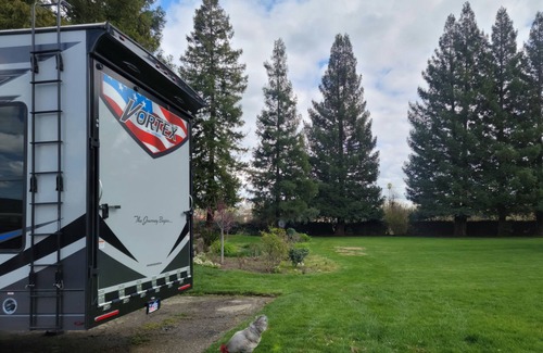 Raisin House | RV Private Park-Like Yard & Animal Encounters - Close to National Parks