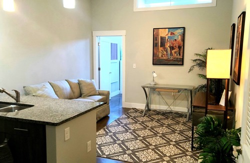 Monroe Ward Condo | RVA Arts District near VCU MCV