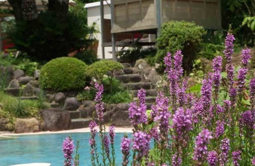 Yatsu House | Ryokan Hanareya Ishidaya