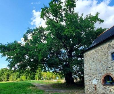 Crevin House | Séjour à la campagne