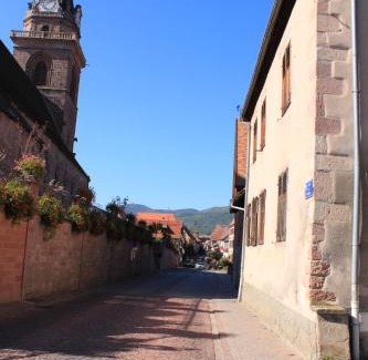 Bergheim Apartment | S'Harzala Rouge