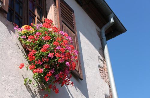 Bergheim Apartment | S'Harzala Rouge