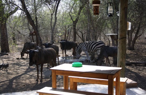 Marloth Park Cottage | Sadadu holiday house bordering Kruger National Park, Free wifi