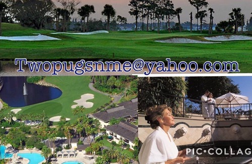 Saddlebrook House | Saddlebrook Resort, vacation in luxury!
