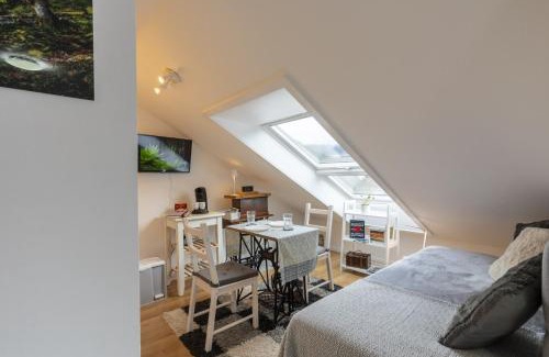 Bad Peterstal-Griesbach Apartment | Sagenhafter Ausblick