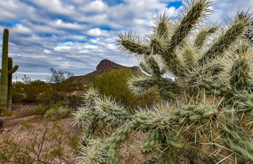 Picture Rocks House | Saguaro National Park Sanctuary
