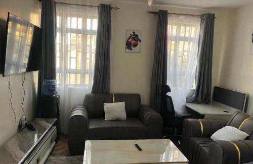 Eldoret House | Sahel Executive Studio apartment with separate kitchen and bathroom in another section from the main room for cheap accommodation in Elgon View near Eldoret sports club,Rapha Hospital, Naivas supermarket, rupha mall, and Eldoret International Airport