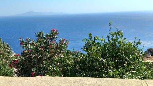 Andros Apartment | Sails1